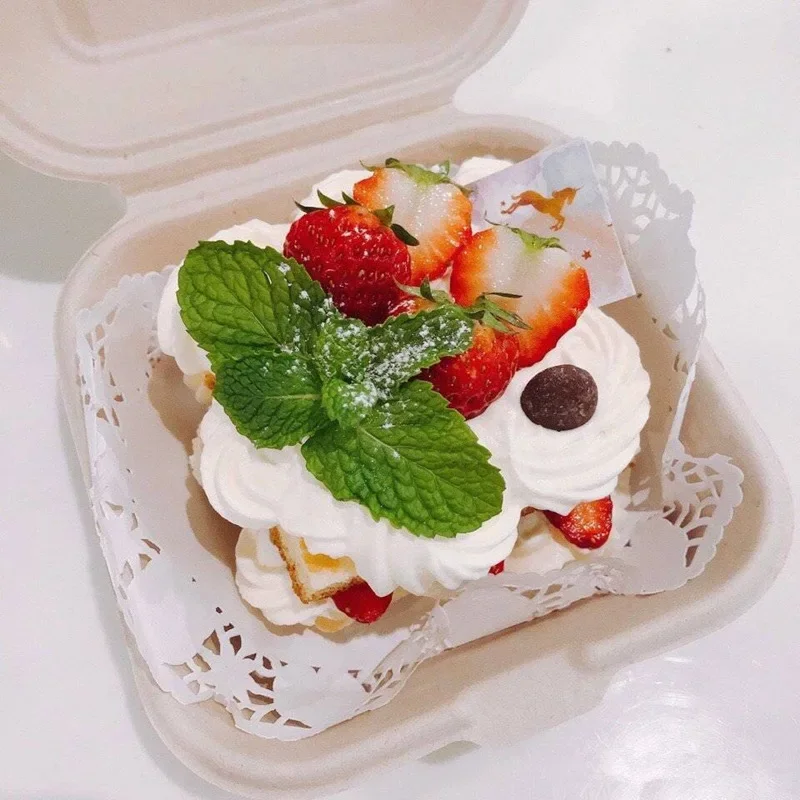 일회용 친환경 도시락 상자, 식사 보관, 음식 준비 도 - Meal Prep Day 리뷰 및 가격